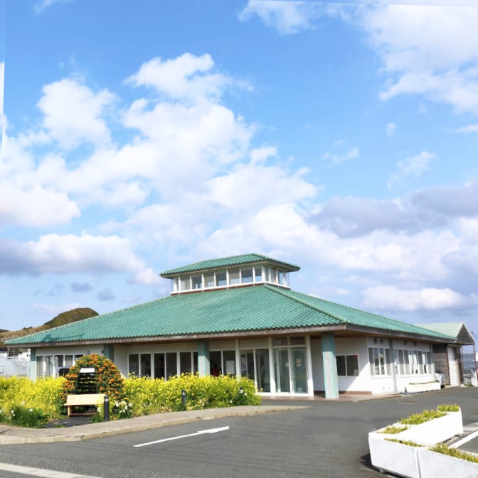 道の駅 白浜野島崎
